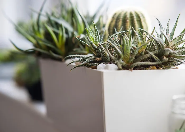 Daire Hemera Valjevo